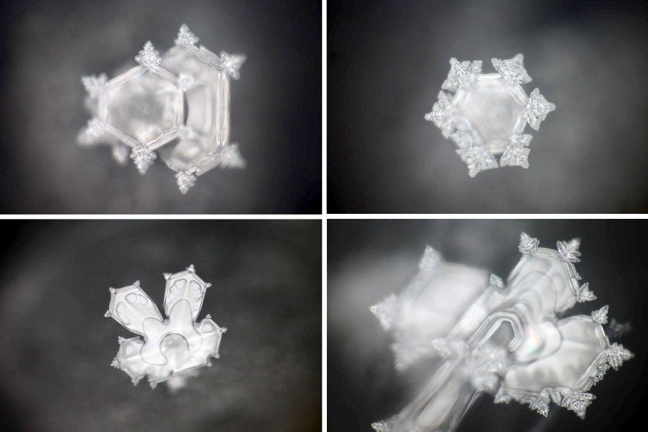 Hado Institute in Tokyo Japan under the supervision of Hiro Emoto.
