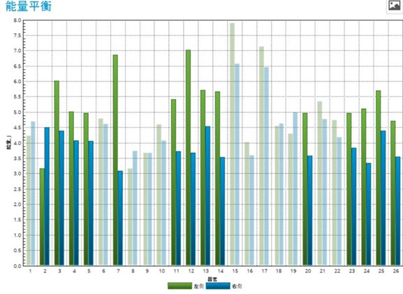 Here the highlighted bar graphs indicated which areas of the body are out of balance relative to the height of the blue and green bars of the graph.